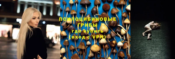 СК Арсеньев