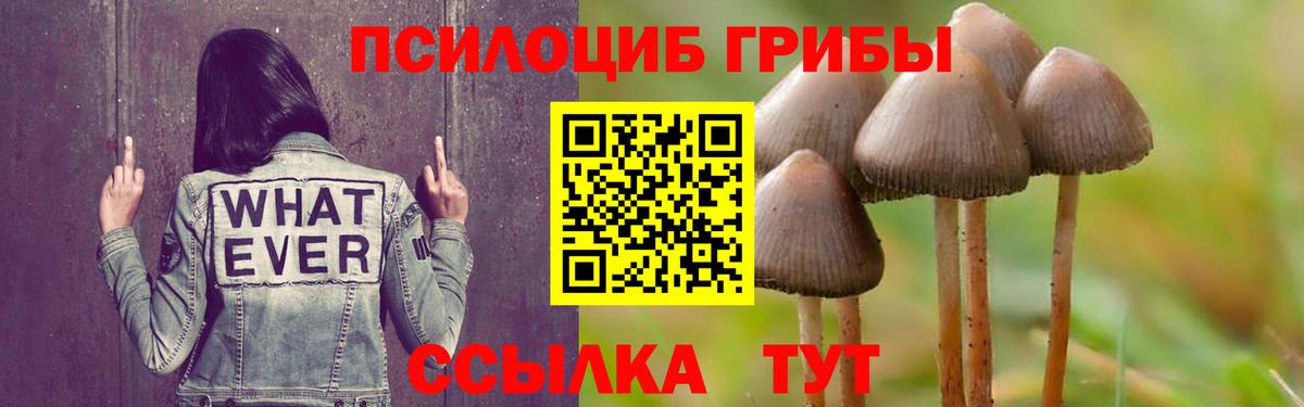 Псилоцибиновые грибы MAGIC MUSHROOMS  Псилоцибиновые грибы ЛСД  Вход с VPN  Радужный 